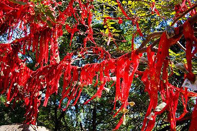 《暗黑破坏神：不朽》首年收入超5亿美元 37%来自中国